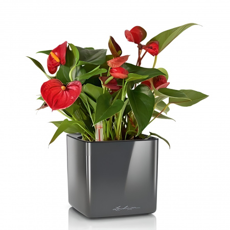 Кашпо Lechuza Cube Glossy 14 Серебристый