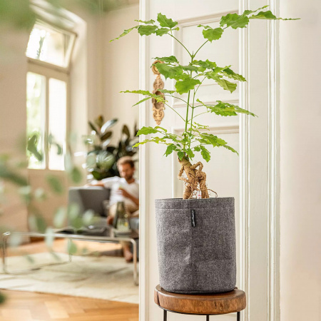 Кашпо Lechuza Trendcover Felt 32 Серый