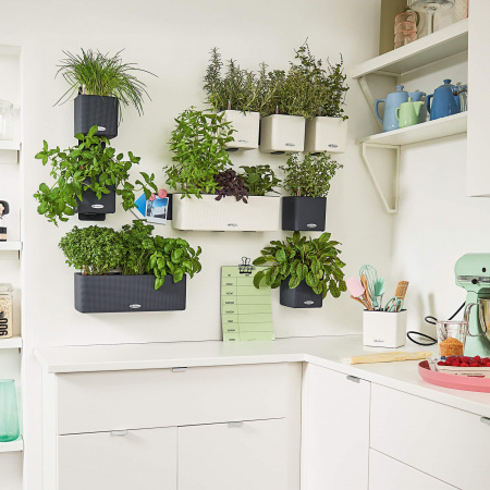 Кашпо Lechuza​ Green Wall Color Белый